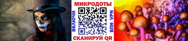 Псилоцибиновые грибы ЛСД  магазин  наркотиков  mega маркетплейс  Сосновка 